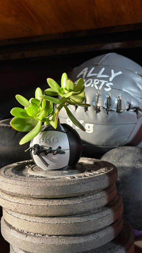 Producto - Maceta Fitness con Forma de Medball - Decoración Fitness