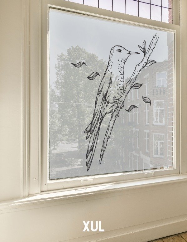 Producto - Esmerilado ventana Coli