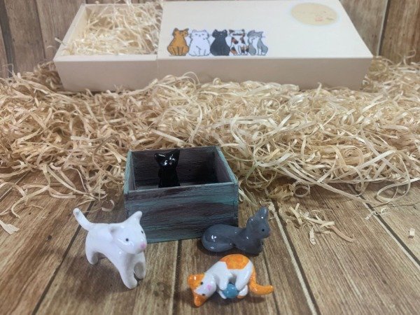 Producto - Caja Gatitos 2