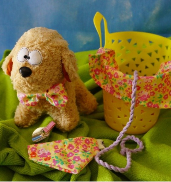 Producto - Caniche + accesorios