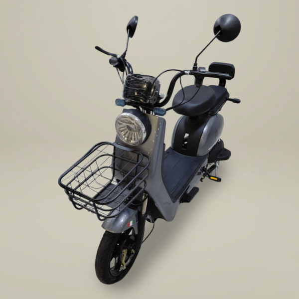 Producto - E-Bike Palermo (2025)