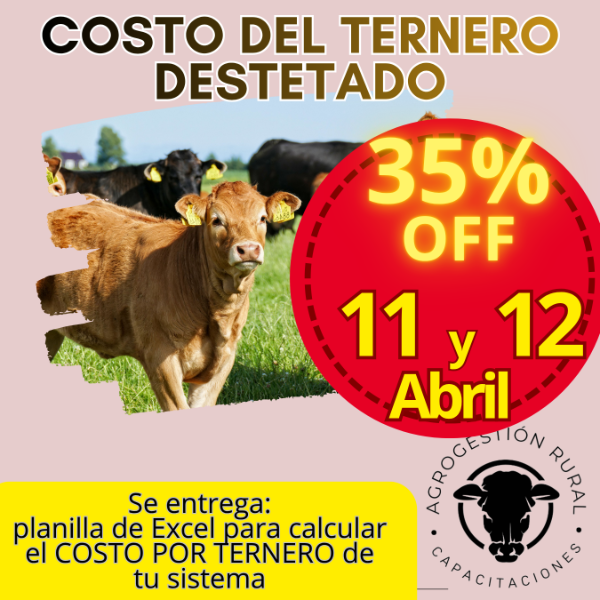 Producto - Taller Online: Costo del Ternero