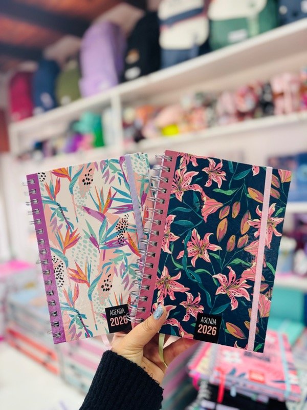 Producto - Agendas 2026 PRECIO LANZAMIENTO