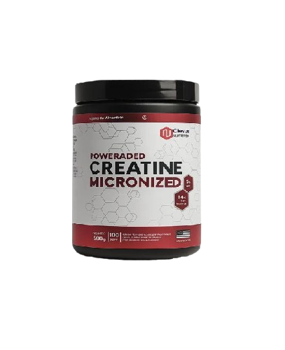 Producto - CREATINA MICRONIZADA 500GR- ONE FIT