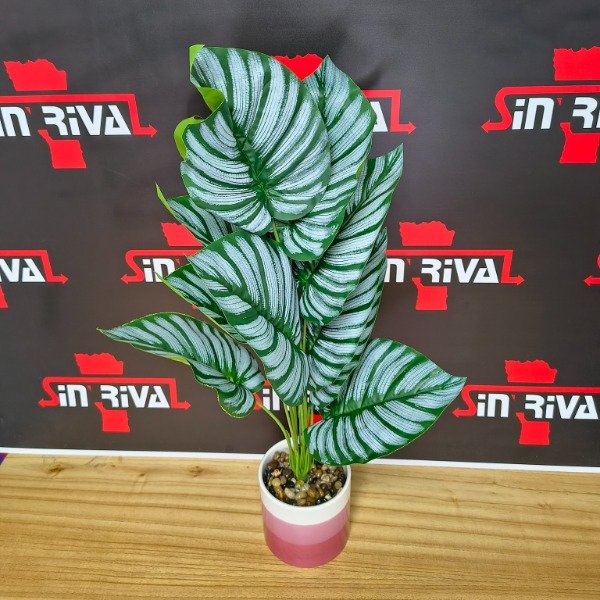 Producto - PLANTAS ALTAS EN MACETA 8995-96-97-98-00-01