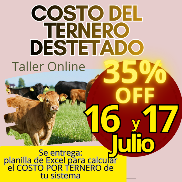 Producto - Taller Online: Costo del Ternero