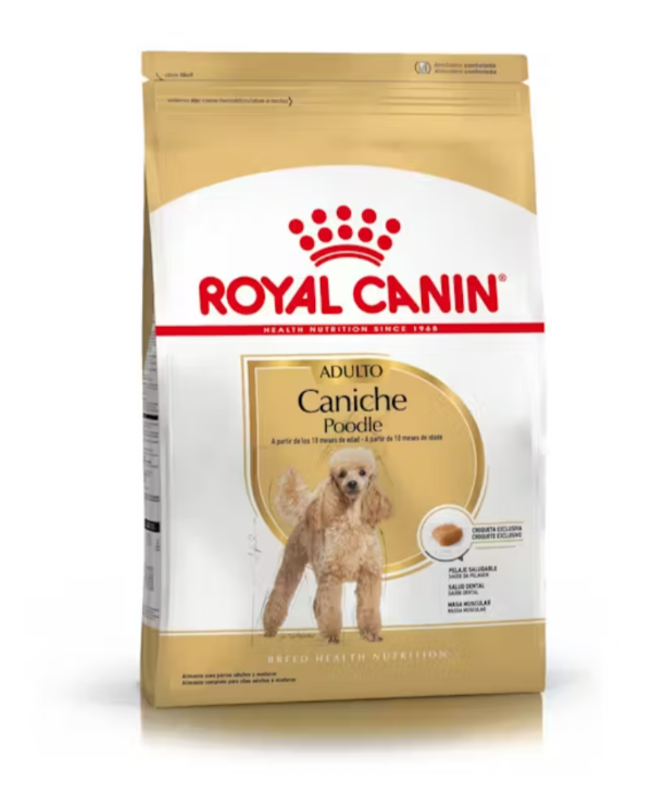 Producto - Royal Canin Caniche Adulto