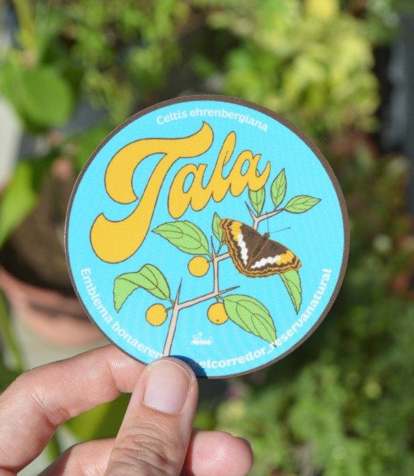 Producto - Sticker blanco UV - Tala