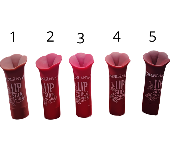 Producto - Lápiz Labial LipStick