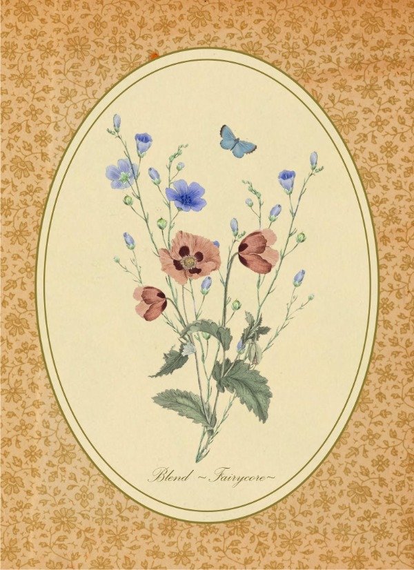 Producto - Blend de Semillas "Fairycore"