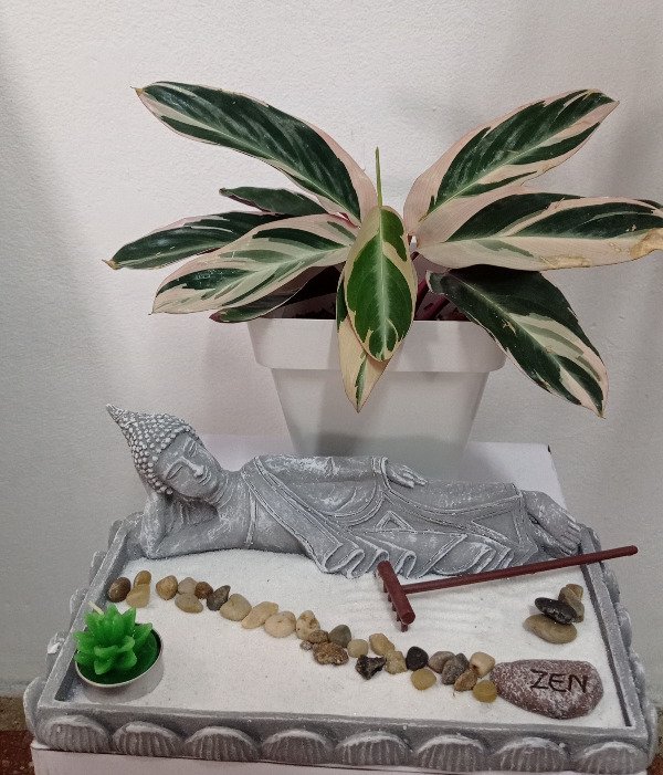 Producto - Buda Nirvana Jardín Zen
