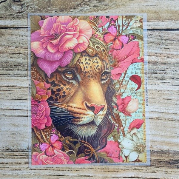 Producto - Transfer Termoactivo 23X19CM ALMA055