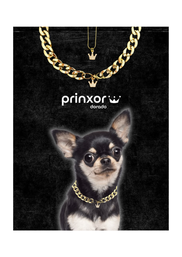 Producto - Prinxor Dorado - Para vos y tu perro