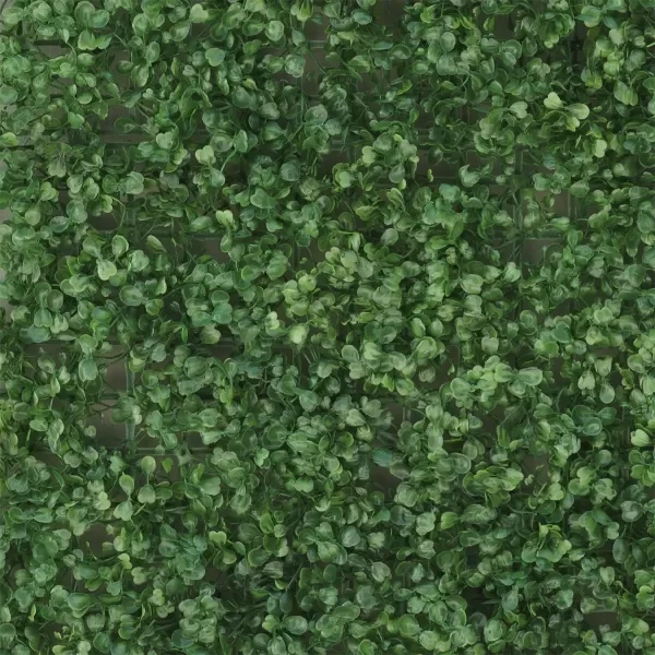 Producto - Jardin Vertical Claro 60x40cms