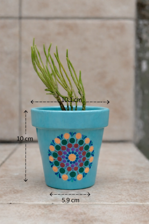 Producto - Maceta Número 10 (Lista para regalar)