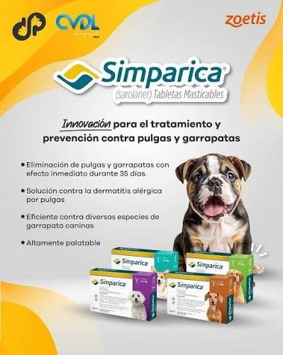 Producto - COMPRIMIDOS ANTIPULGAS SIMPARICA 1 MES TAMAÑO CHICO - 1