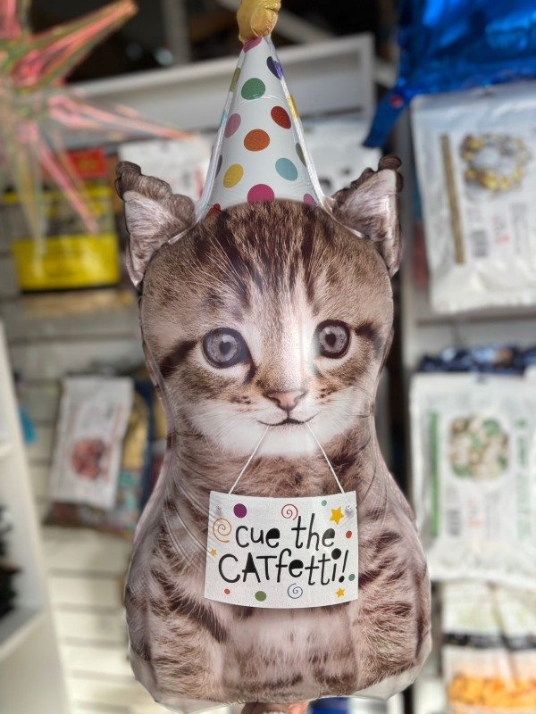 Producto - GATO CON BONETE