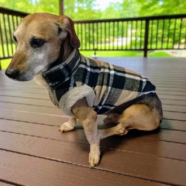 Miniatura de producto - 3