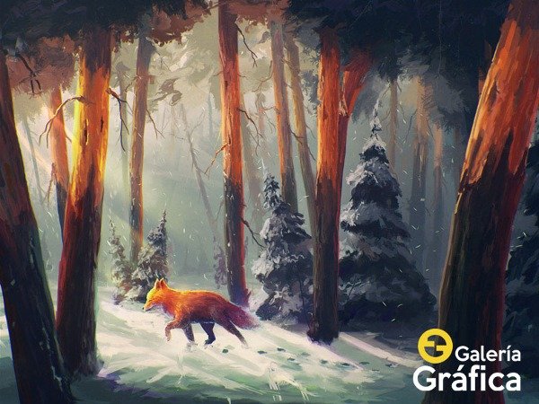 Producto - Paisaje FS 13