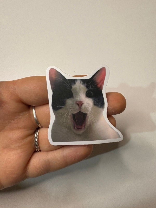 Producto - Sticker gato 110
