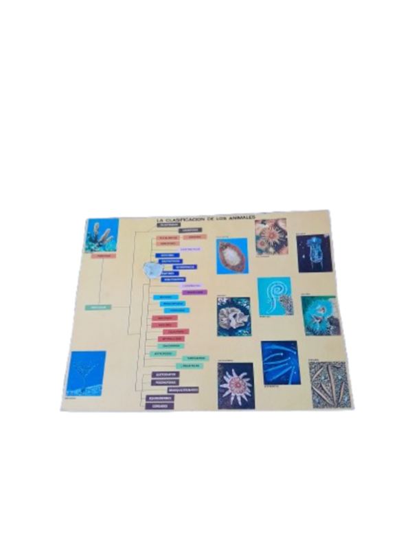 Miniatura de producto - 7