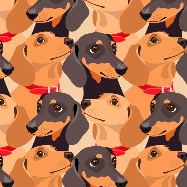 Producto - PERRO - 99