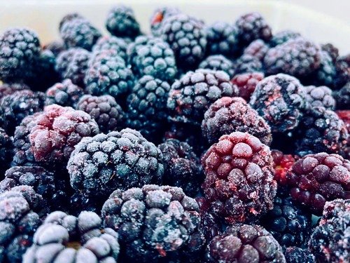 Producto - ZARZAMORA CONGELADO 500GR