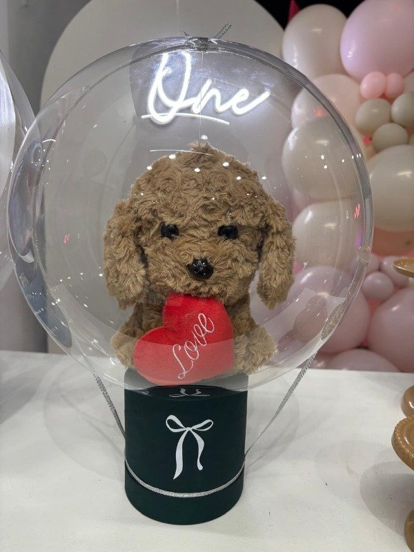 Producto - CAJA CON PELUCHE ENCAPSULADO EN BURBUJA