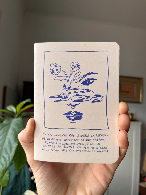 Producto - Libretas de bolsillo - 2