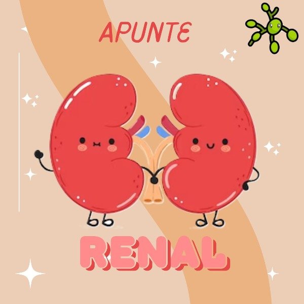 Producto - Apunte RENAL VIRTUAL