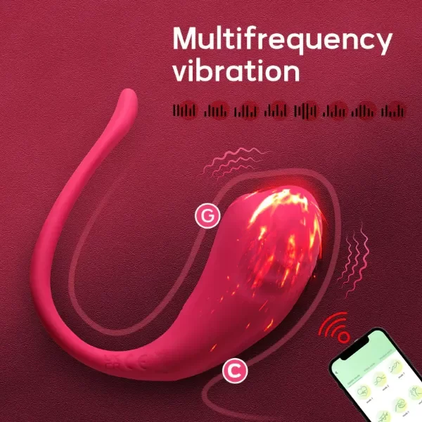 Producto - Vibrador APP NOVA 2