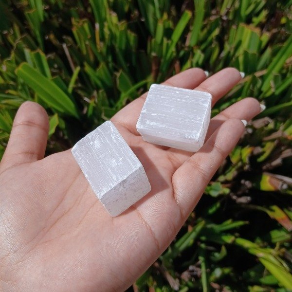 Producto - Taco de Selenita