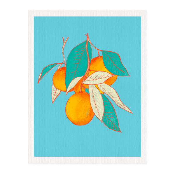 Producto - Naranjo, 30 x 40 cm