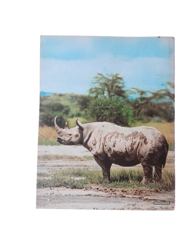 Miniatura de producto - 7