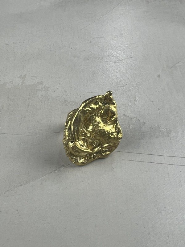 Producto - Anillo Vestigio IV