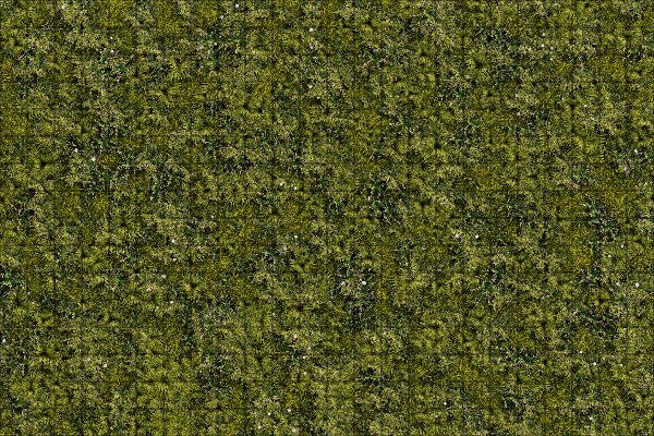 Producto - Bosque 5 L