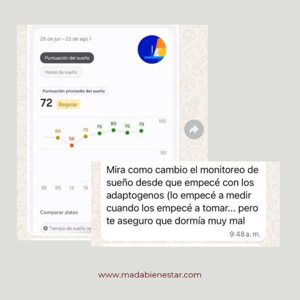 Producto - REISHI - 6