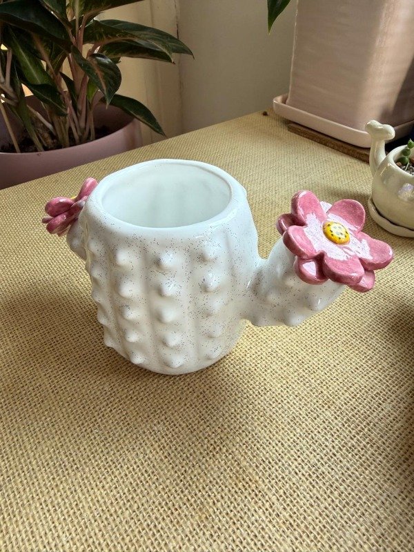 Producto - Maceta cactus