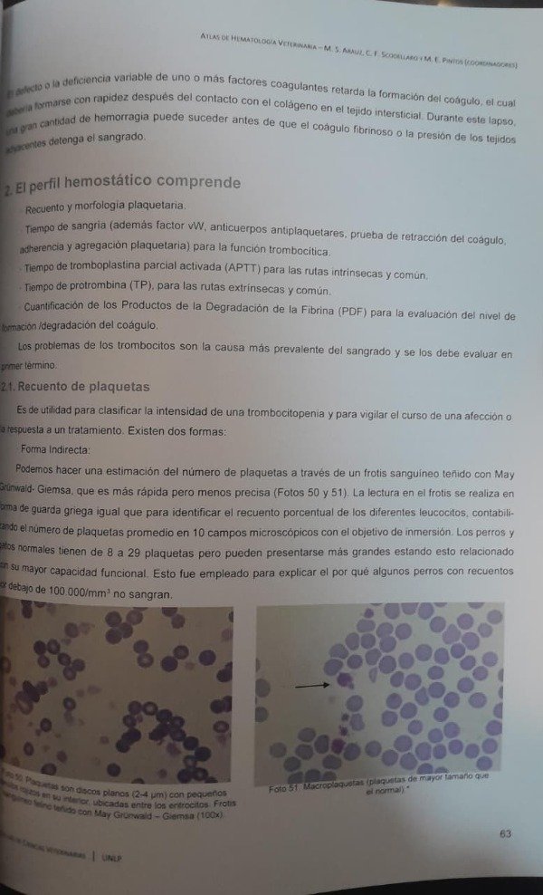 Producto - Arauz: Atlas de Hematología Veterinaria - 7