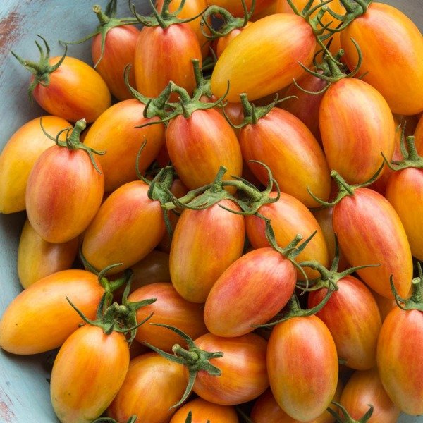 Producto - 150 SEMILLAS DE TOMATE CHERRY BLUSH