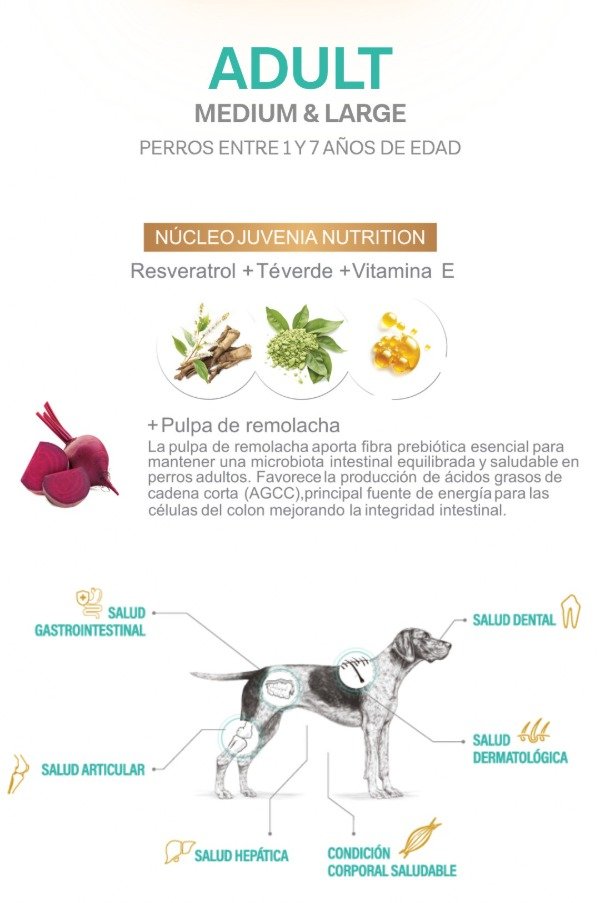 Producto - Juvenia Perro Adulto Raza Mediana y Grande 3 Kg - 1