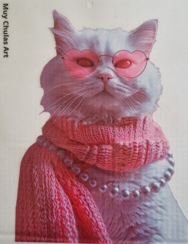 Producto - Gatos2