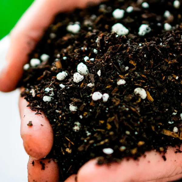 Producto - Sustrato Plantas de Interior