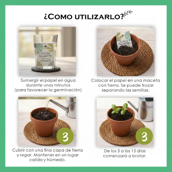 Producto - Tarjeta Plantable Bautismo - 4