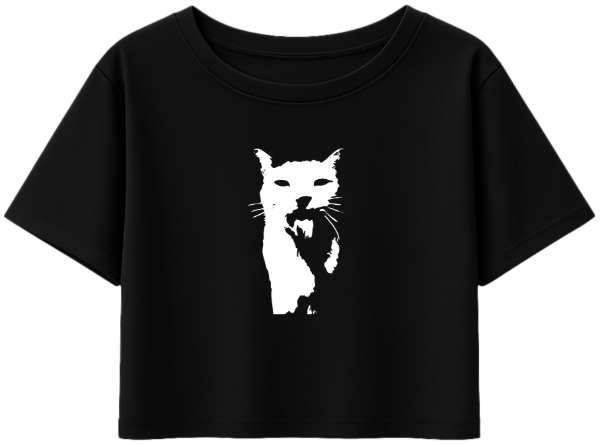 Producto - Top Gato 1