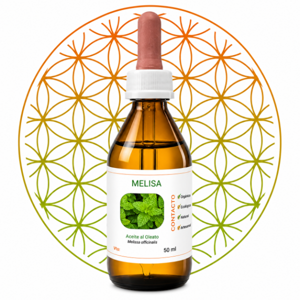 Producto - Oleato de Melisa  (Melissa officinalis) 50ml