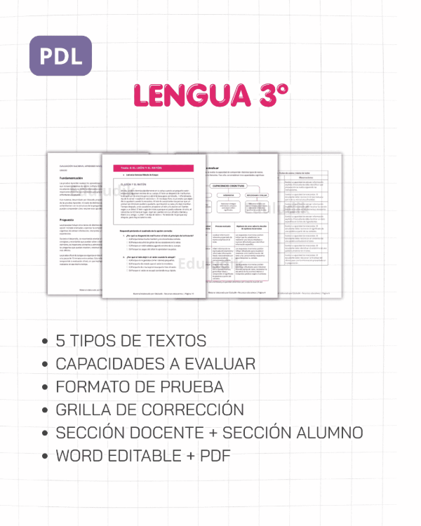 Producto - Preparación para Prueba Aprender Lengua 3 - 1