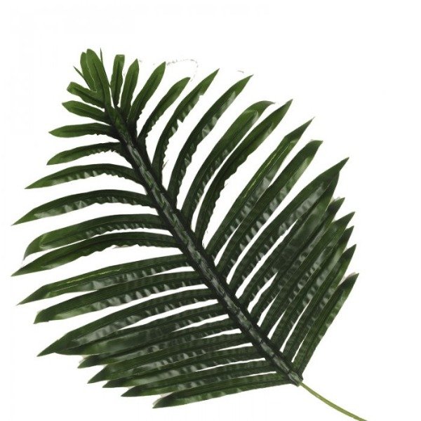 Producto - Hoja palmera