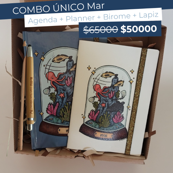 Producto - COMBO ORGANIZACIÓN MAR 2026