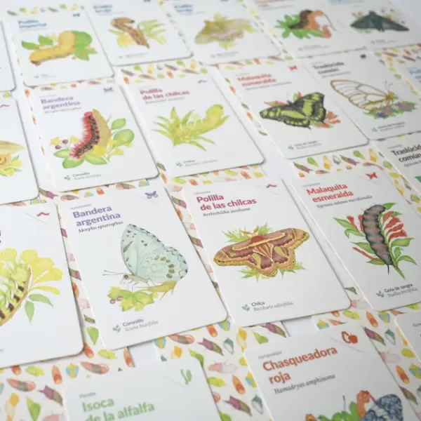 Miniatura de producto - 2